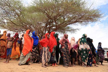 Varias mujeres en el campo de Higlo Etiopía