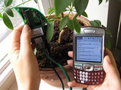 A plant that can send tweets when it needs watering, through the Botanicalls system. 