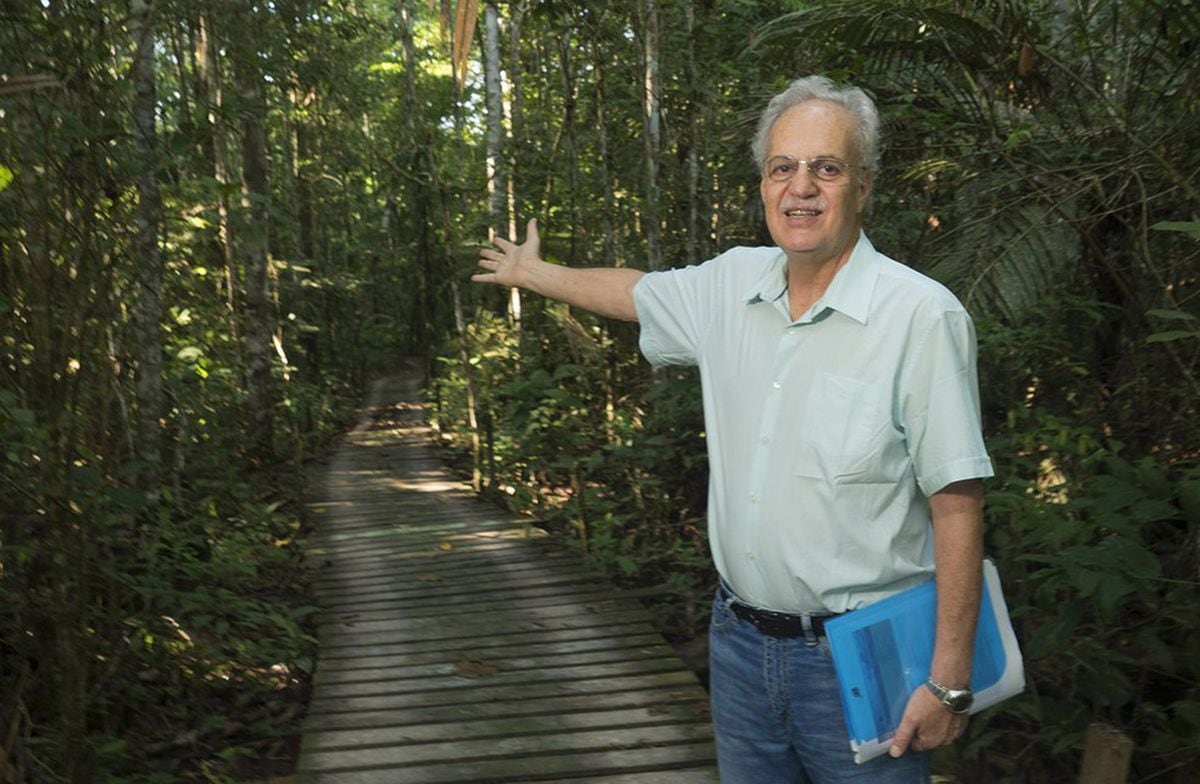 Carlos Nobre, cientista brasileiro: ‘O potencial econômico das florestas em pé na Amazônia é maior do que a agricultura’ |  Ciência e Tecnologia