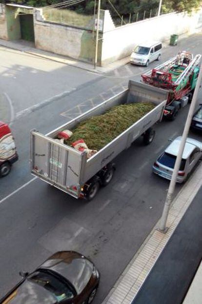 The marijuana seized by the Civil Guard is taken away.