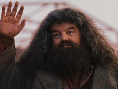 Robbie Coltrane as Hagrid in Harry Potter.