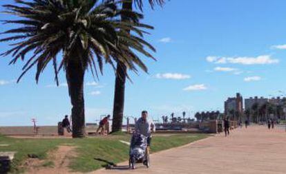 The Rambla seaside promenade in Montevideo.