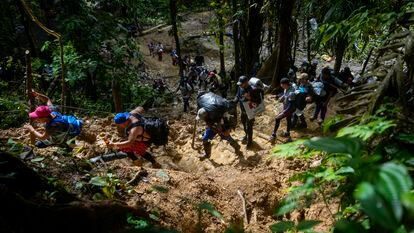 Migrants walk through the jungle of Darién, between Colombia and Panama, in April 2023.
