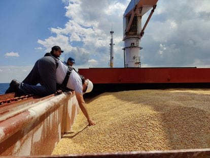 Tonnes of corn from Ukraine, inspected on August 3 in Istanbul.