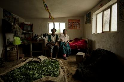 A family of coca leaf farmers in Las Yungas, Bolivia.