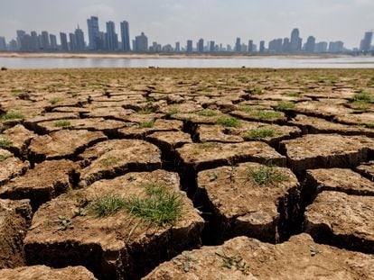 The dried-out bed of the Gan River during the drought that affected the Chinese province of Jiangxi last summer.