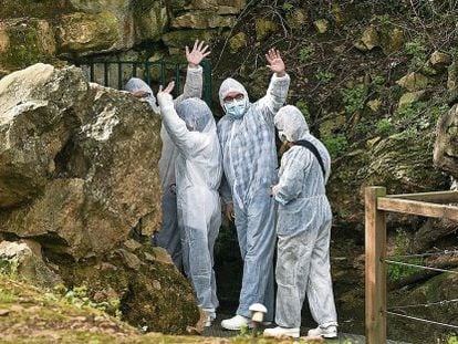 A group of visitors enters the Altamira cave as part of an experimental program last year.