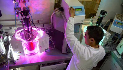 A researcher working on a bioreactor containing cocoa.