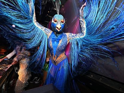 Heidi Klum, dressed as a peacock for her 2023 Halloween party.