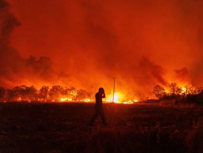 Flames burn a forest during a wildfire in Avantas village, near Alexandroupolis town, in the northeastern Evros region, Greece, on Aug. 21, 2023.