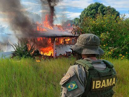 An Ibama agent observes the burning of a poaching miners' plane during an operation on Yanomami land, in February 2023.