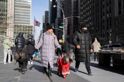 A woman walks her two dogs on Christmas Eve in New York.