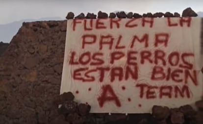 Dogs Trapped On Spain’s Volcano Island Disappear with Note Left Saying they are Safe