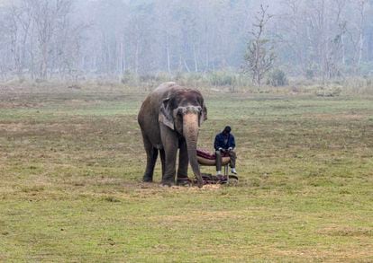 A mahout rest next to an elephant during a break at the Chitwan National Park, a UNESCO World Heritage Site, in Chitwan district, Nepal, 31 December 2023