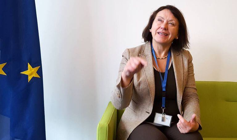 European Institute for Gender Equality director Virginija Langbakk.