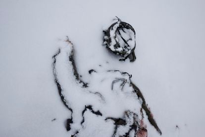 A picture of a fallen Russian soldier in Kharkiv on February 25. 