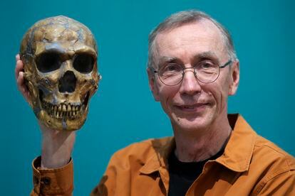Swedish scientist Svante Pääbo stands by a replica of a Neanderthal skeleton at the Max Planck Institute for Evolutionary Anthropology in Leipzig, Germany, Monday, Oct. 3, 2022. 