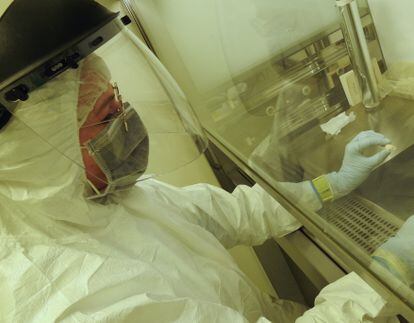 The scientist Elena Essel, one of the researchers who designed the new technique for extracting DNA, works with the archaeological artefact. It is handled with extreme care, to avoid DNA contamination. 