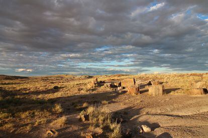 Petrified Forest National Park in the northern region of Arizona. 