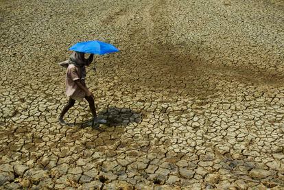 A villager holding umbrella to protect himself from sun, walks over parched land on the outskirts of Bhubaneswar, India on May 2, 2009.
