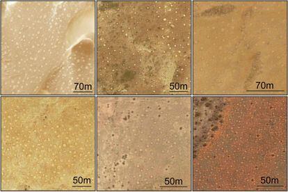 The composition shows new fairy circles in, starting from the upper right, Western Sahara, Mauritania, two from Niger, Sudan and Australia.