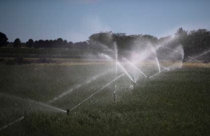 Irrigating cereals in Tomelloso.