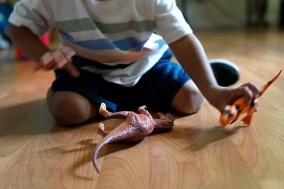 Alexander, 3, who is being treated for developmental delays, plays with his dinosaurs in the living room of his West Chicago, Ill., home, Tuesday, Aug. 8, 2023.