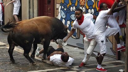 A newspaper is not much use for fending off half a ton of bull.