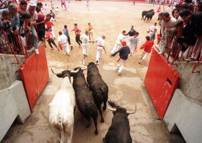 The bulls enter the ring in 1999.