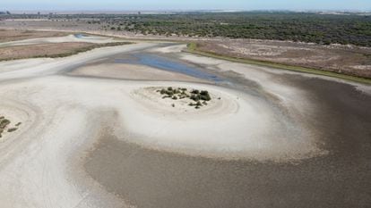 Laguna de Santa Olalla on August 22, when there was still some fresh water left. / DOÑANA BIOLOGICAL STATION (CSIC)