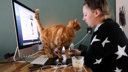 A woman works from home in the presence of her cat.