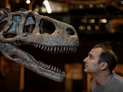 Paleontologist Steve Brusatte, pictured at the exhibition 'Dinosaurs of Patagonia' at the Science Museum in Barcelona.