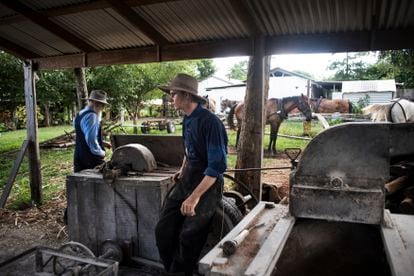 In San Miguel Gruenwald, Abram Loewen and his son Juan turn on a rudimentary seed cleaner powered by horses. 