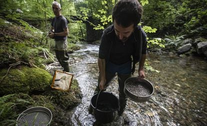Aitor Larrañaga and Arturo Elosegi (behind) take samples from a tributary of the Artikutza river.