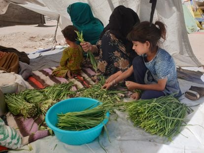 Parwana, whose husband died in a Taliban attack against his barbershop, washes vegetables with one of her daughters and a neighbor in the Kabul park where they are now living.