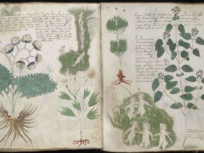 The mysterious ‘Voynich Manuscript.’