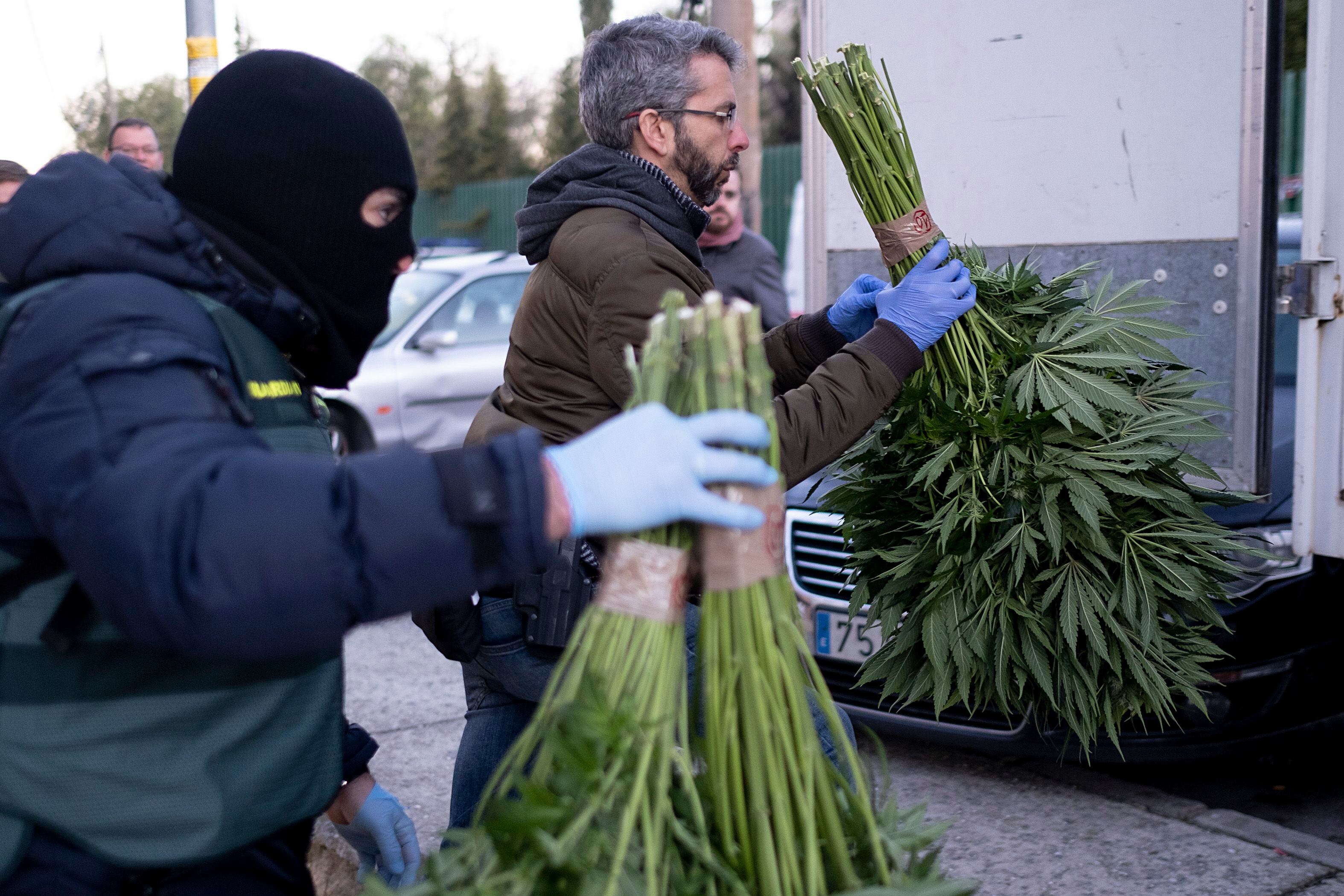 A drug haul in Pinos Puente, Granada. 