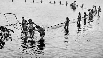 Kamayurás pull a fishing net in Lake Ipavu, during the preparations for the women's ceremony. Xingu indigenous land, State of Mato Grosso (Brazil), 2005.