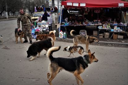 The open-air market in the city of Kupiansk, March 15.