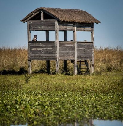One of the bird hides in the middle of the Iberá lagoon.