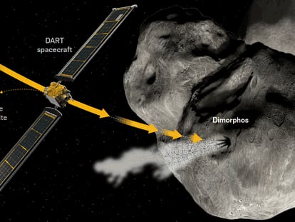 NASA set to crash DART probe into asteroid as test for future collisions
