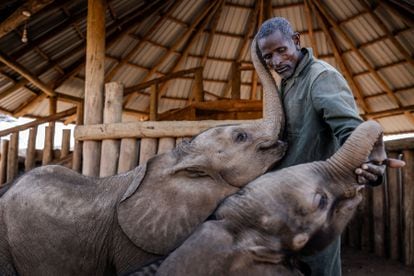 Reteti Elephant Sanctuary in Samburu, Kenya