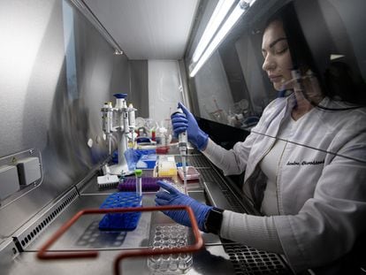 Researcher at a hematological cancer research laboratory in the Czech Republic.