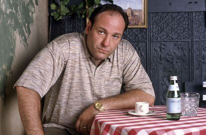 Tony Soprano used to eat sitting, standing, alone or with company.