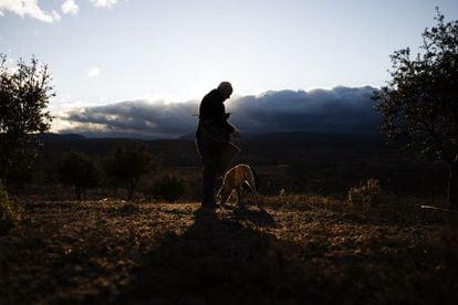 Truffle producer Ángel Doñate, with his dog Dulce.