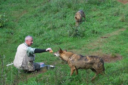 Jaime Marcos Beltrán, veterinarian and caretaker of La Casa del Lobo, in Belmonte de Miranda.