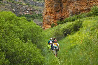 Trekkers in Caracena gorge, in Soria province.