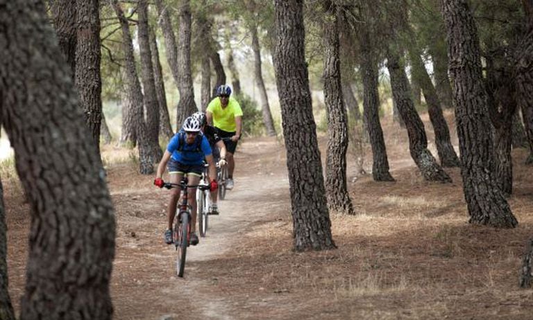 Cyclists in La Pedriza in the Sierra de Guadarrama National Park, Madrid.