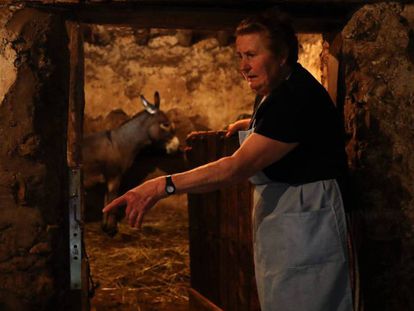 Amada Ruiz, aged 81, at her stable in Moropeche, where she keeps a donkey, goats, lambs, and hens and rabbits.