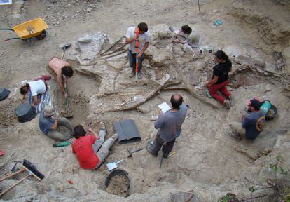 Bone remains of 'Garumbatitan morellensis.'
